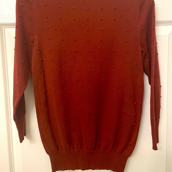 Ann Taylor Rust Dot Sweater - Picture 2 of 3